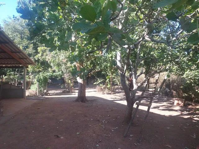 Chácara 1.125m² | 2 Quartos com Suíte | Apenas 300m do Asfalto | KM 18 - Foto 5