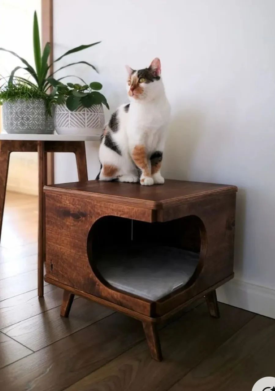 Mesa de cabeceira / Cama para gato / centro de mesa  - Foto 2
