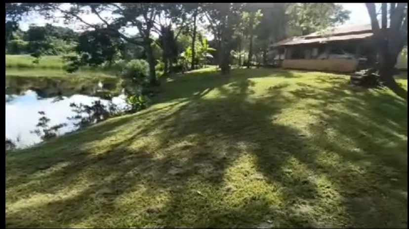 . Chácara Alto Padrão 2,5 Alq com Represa - Inhumas/Araçu
