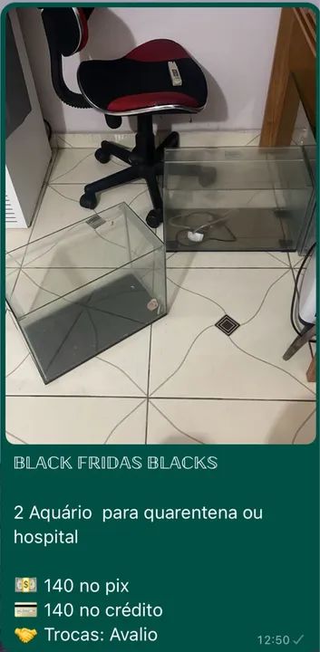 Aquário marinho  - Foto 4