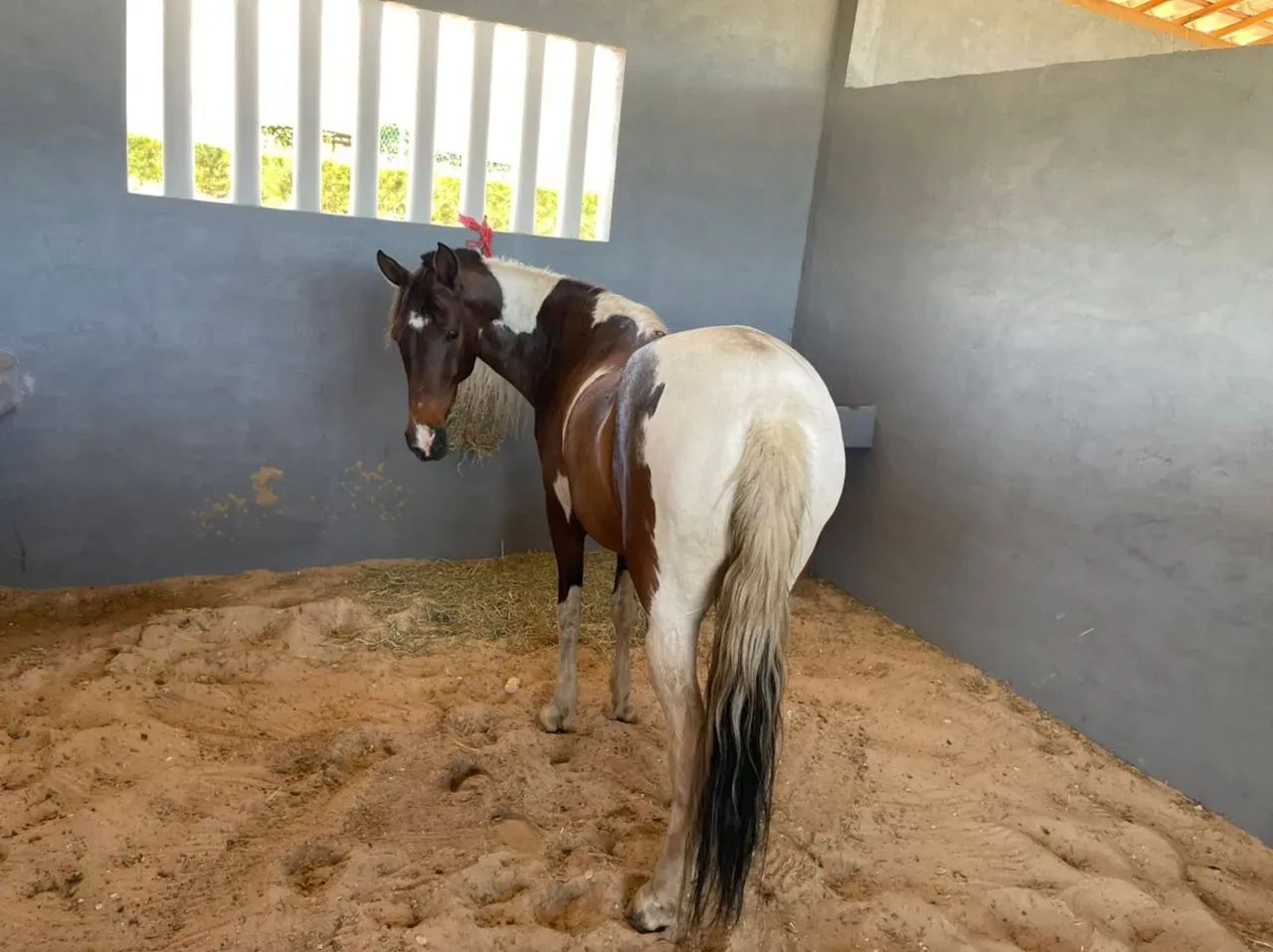 + Fazenda Real lote quitado com 525m - Foto 11