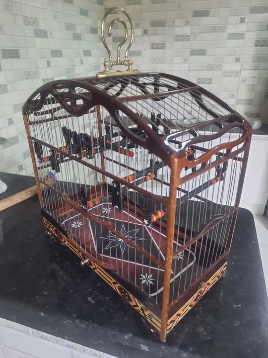 Gaiola de torneio para coleiro - Foto 3