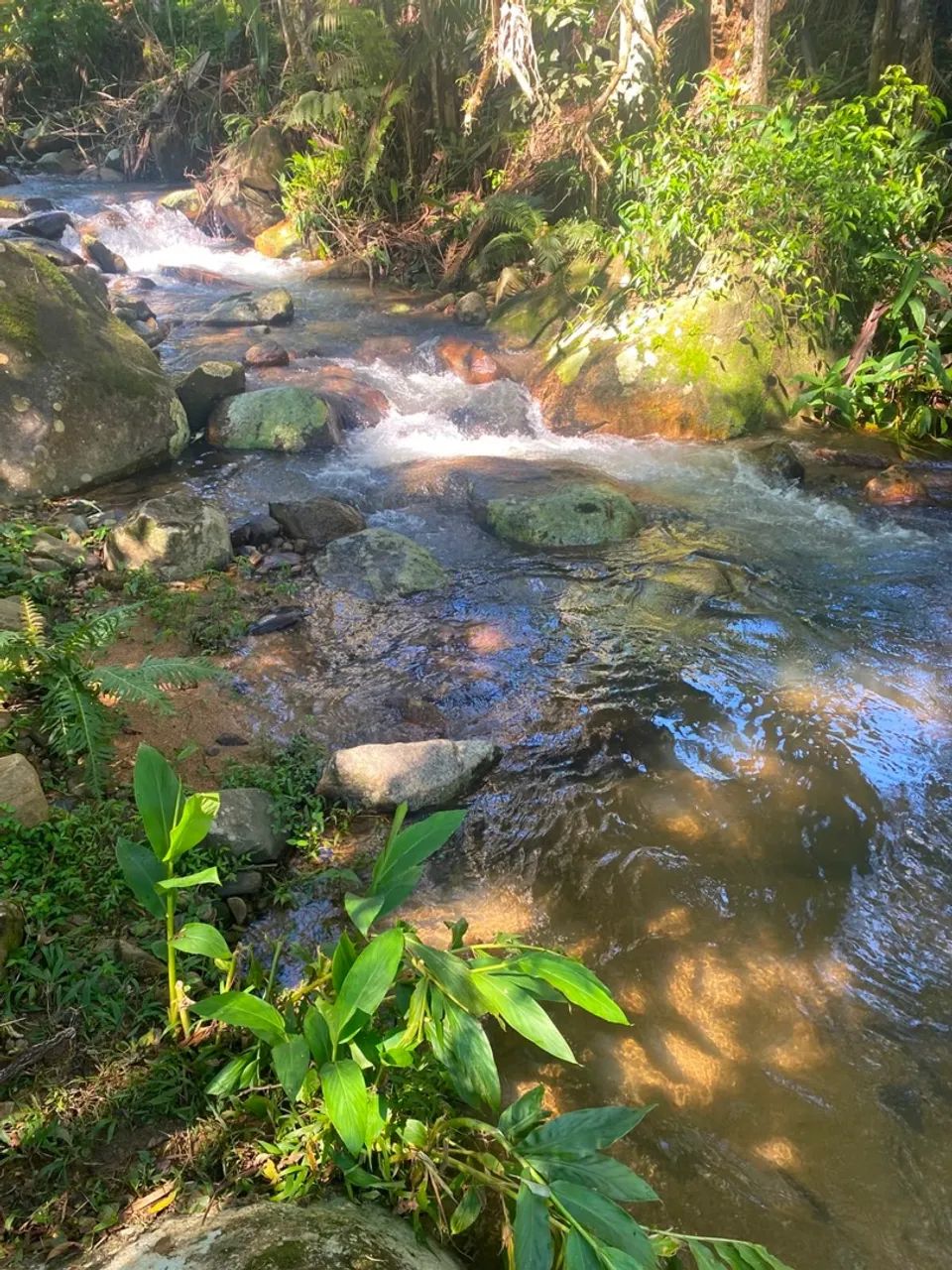 Chácara em Morretes - Foto 2