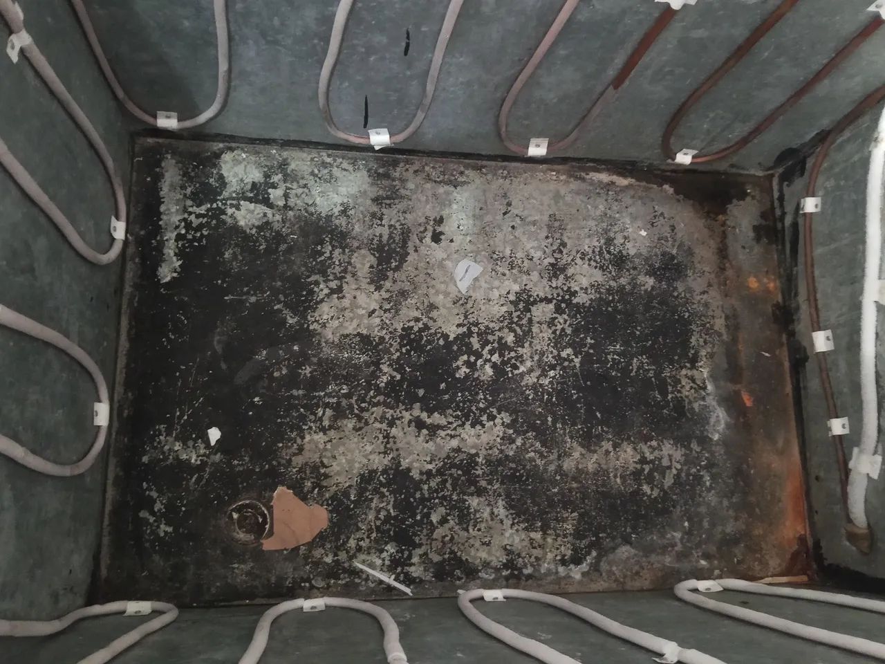Freezer  - Foto 3