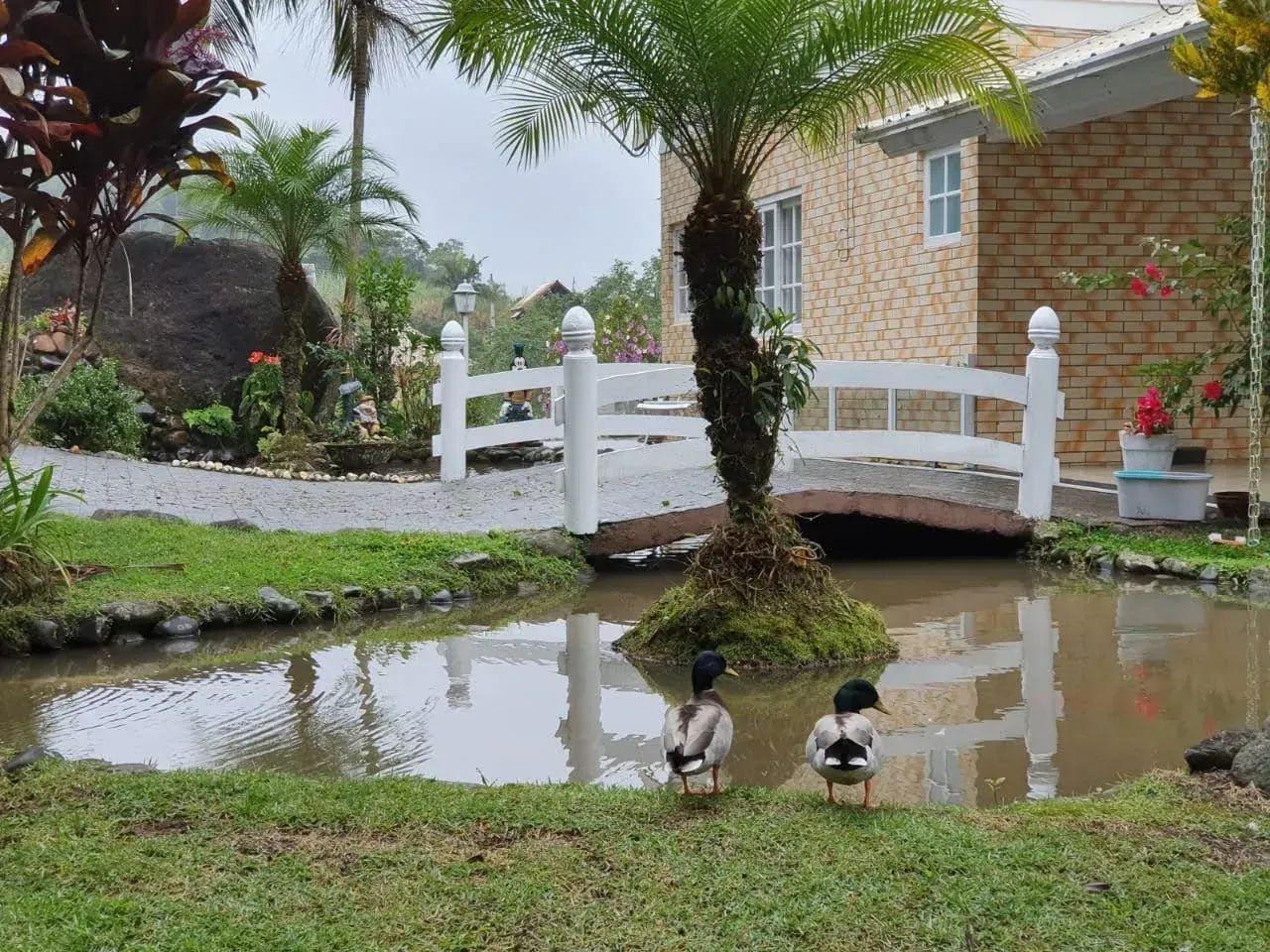 Belo sitio em Santo Amaro da Imperatriz! - Foto 2