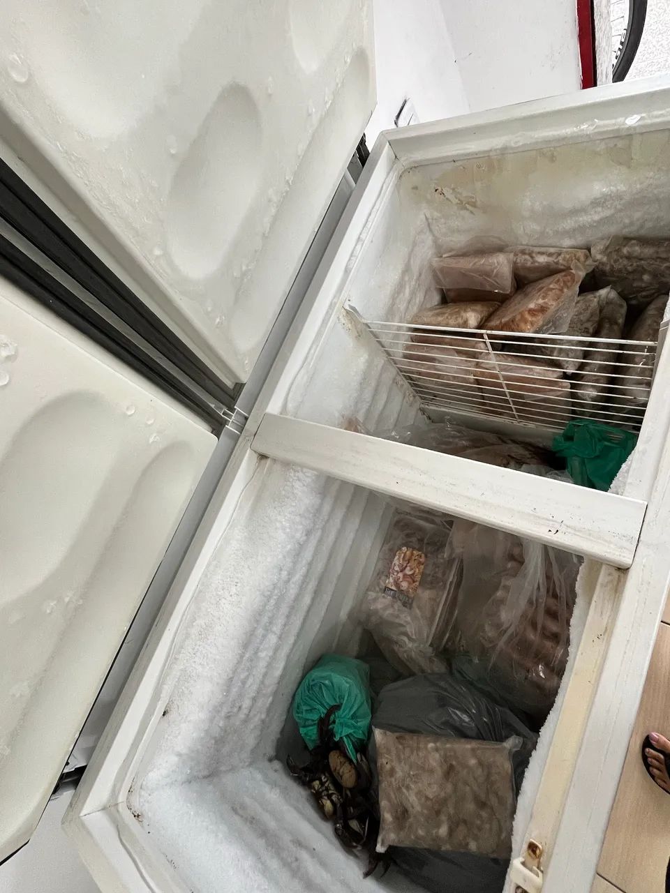 Freezer Metalfrio  - Foto 4