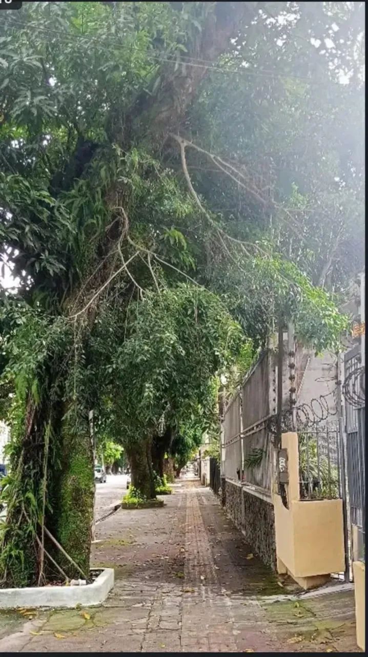 Imóvel comercial 2 pavimentos - 200 m² com 10 cômodos em Umarizal - Belém - PA - Foto 4