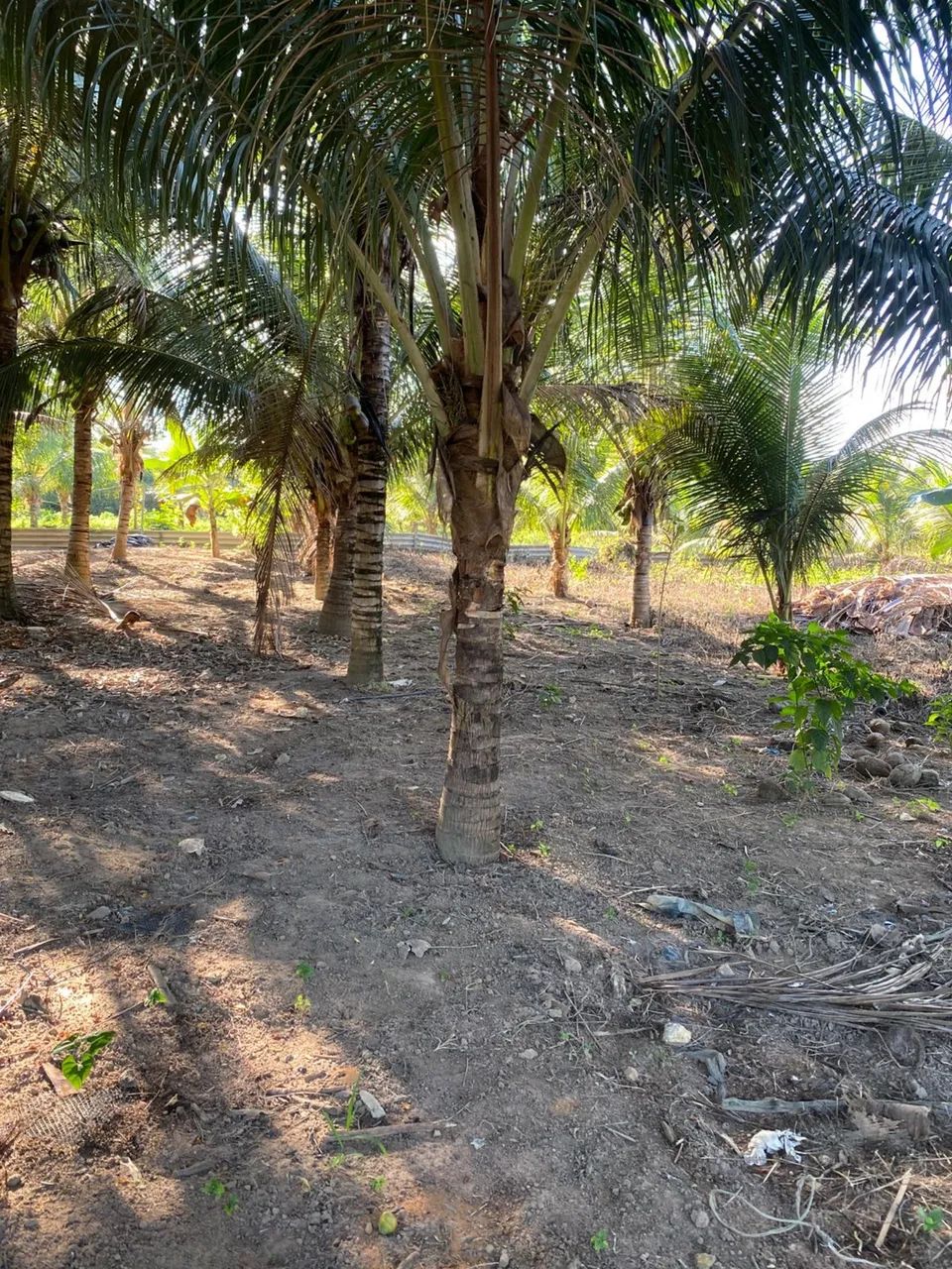 VENDE-SE CHÁCARA BAIRRO NOVA CARAJÁS  - Foto 3