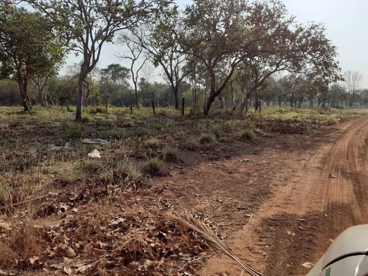 Área para Venda em Aruanã, Centro - Foto 2