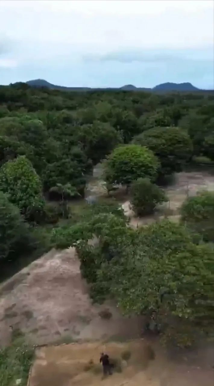 VENDO SÍTIO 45km da cidade - Foto 3