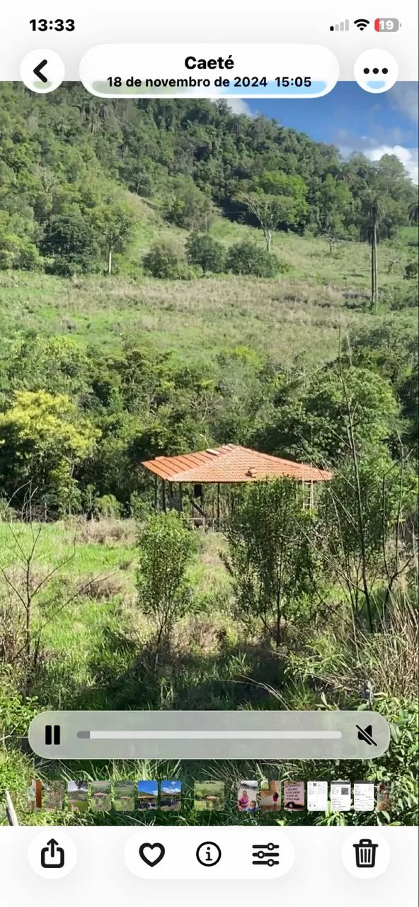 Um lugar para contemplar a natureza  - Foto 4