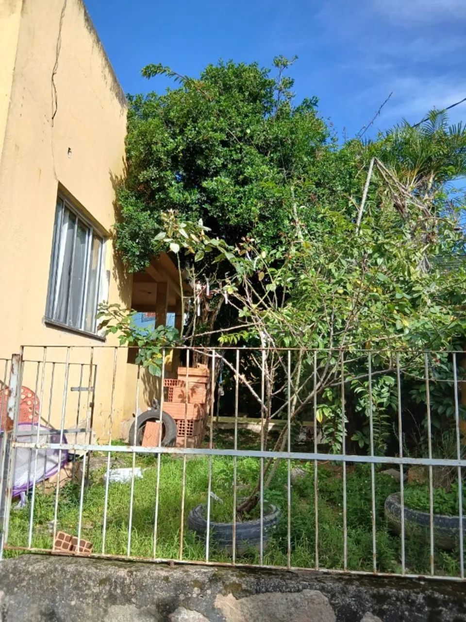 Foto - Vitória - Tabuazeiro