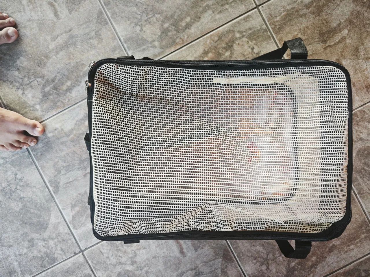 Caixa ade transporte São Pet - Foto 3