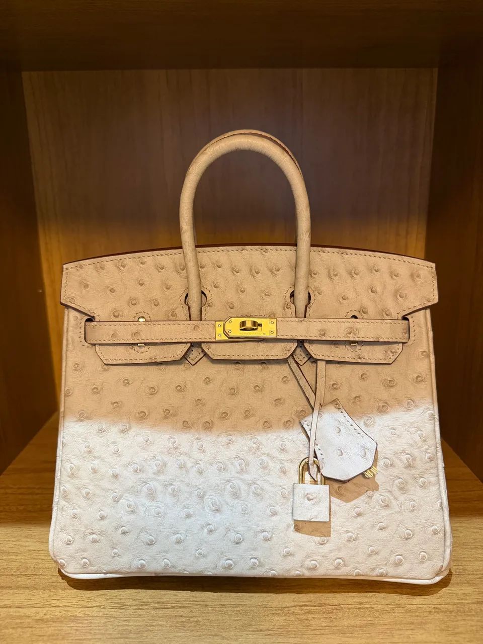 Vendo bolsa Birkin Hermes 