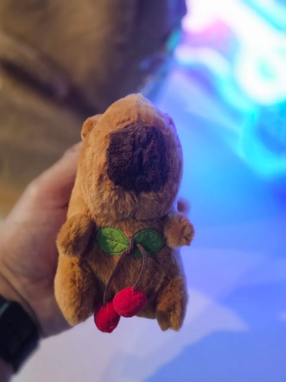 Capivara Combo presente  - Foto 5