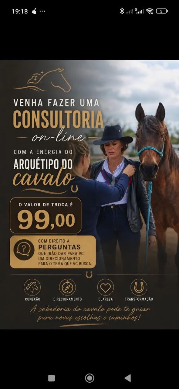 Consulta sistêmica com cavalos 388. * Josiane Araújo da Silva  - Foto 3