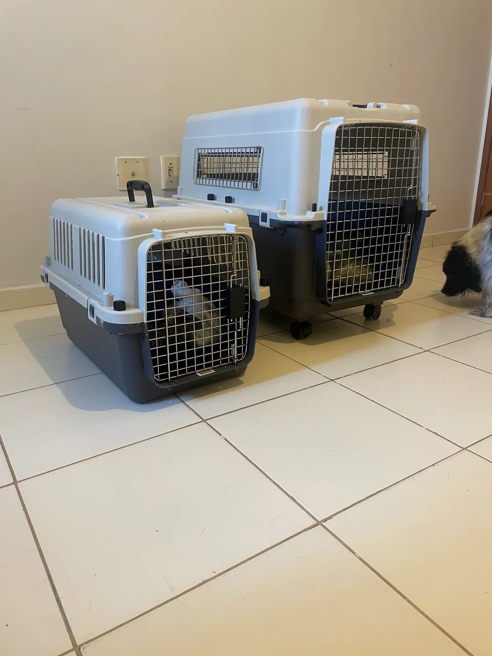 Duas Caixas transporte pet -Gomoov - Foto 2