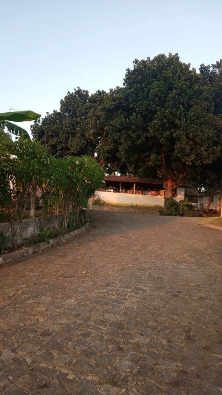 Chácara em Ipojuca/PE à Venda (CH0073-PV) - Foto 4