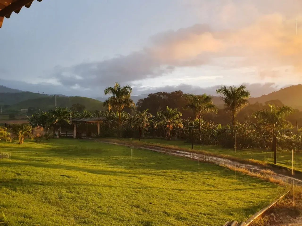 Sitio para Venda - Foto 4