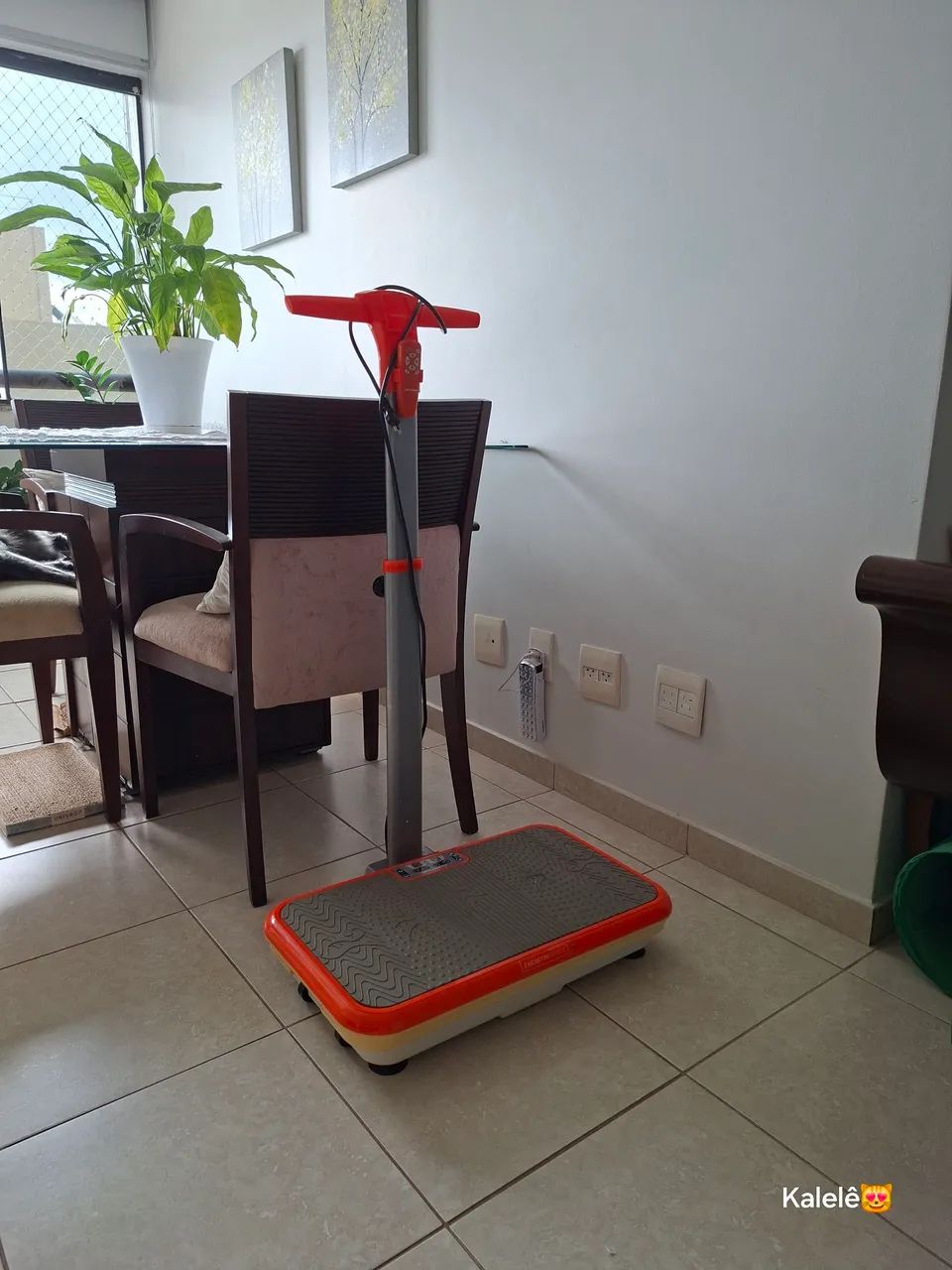 Plataforma vibratória  - Foto 5