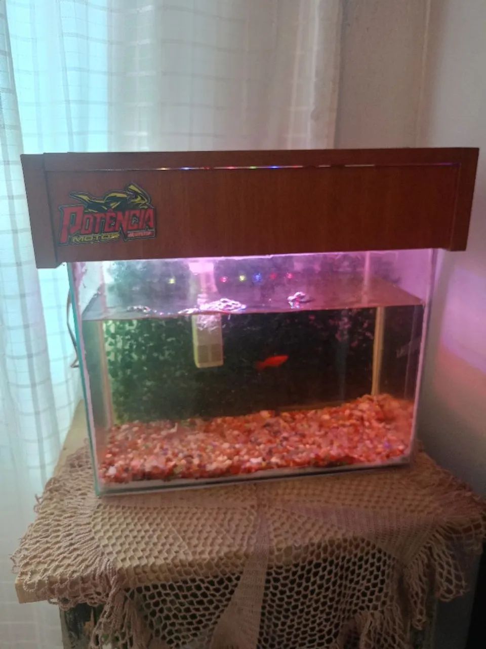 Aquário 25 litros 