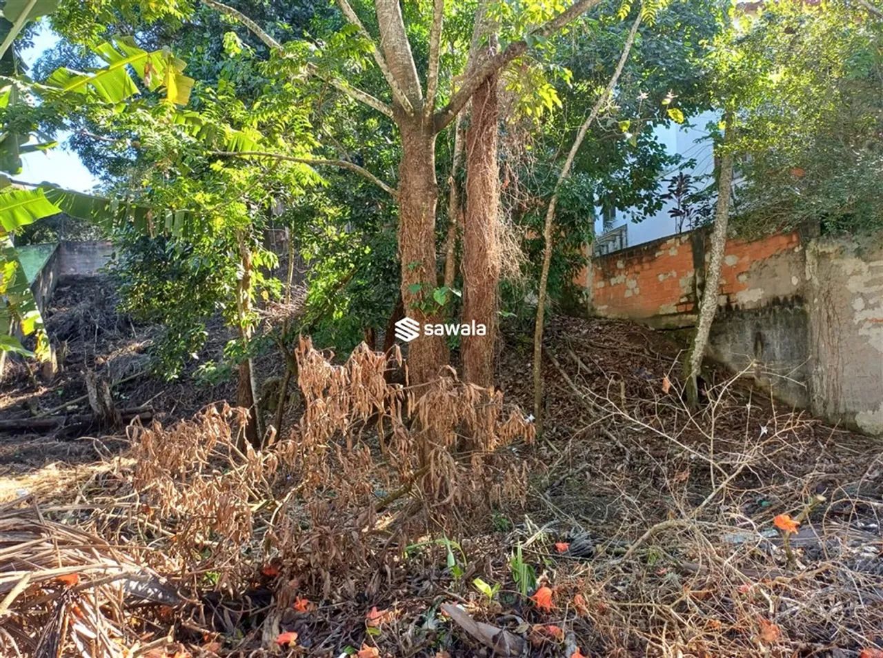 Lote de Terreno no Condomínio Bosque dos Eucaliptos - Foto 5