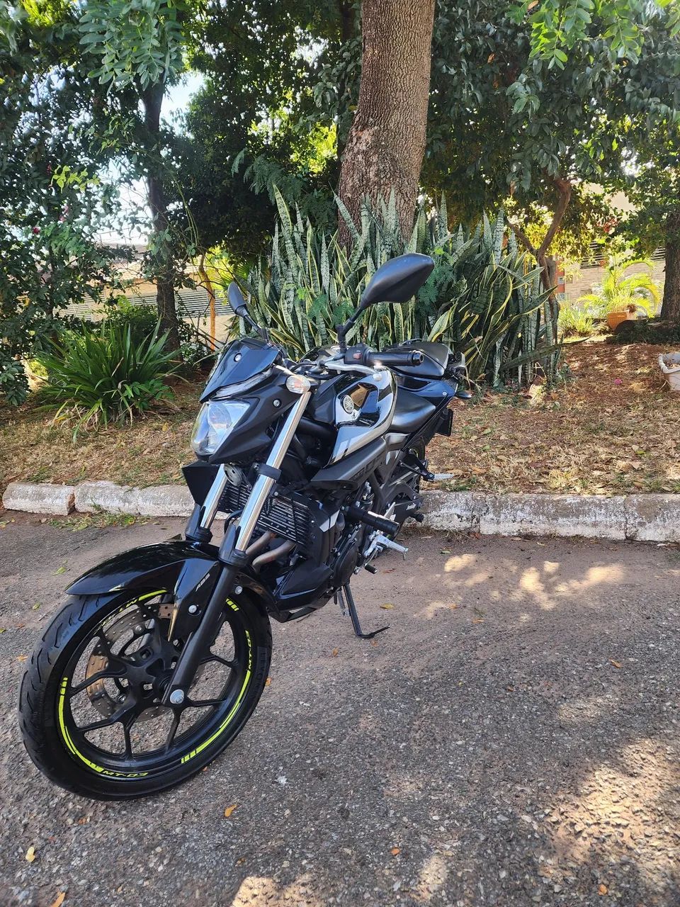 MT-03 2019/2020 - Foto 2