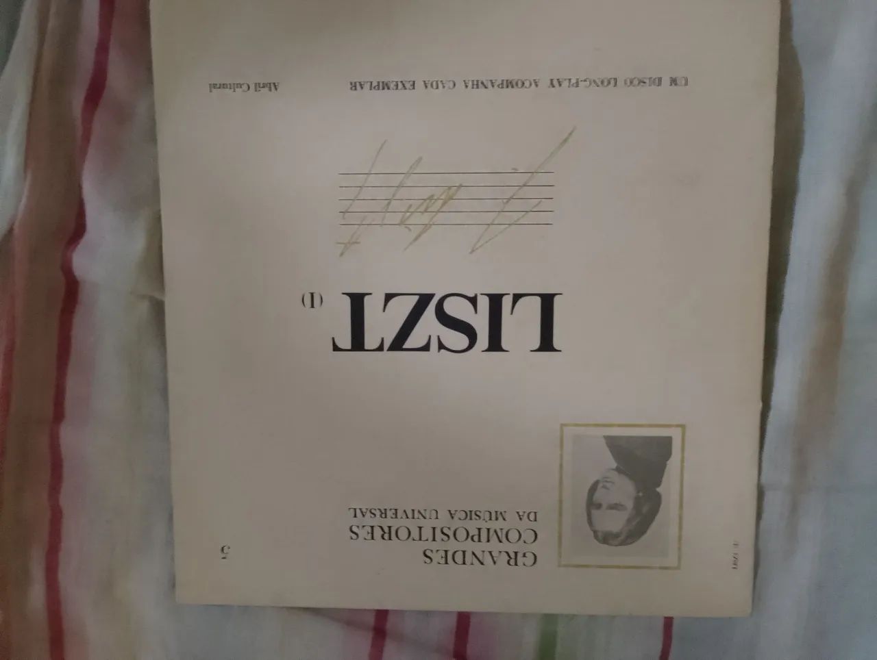 Vinil liszt 