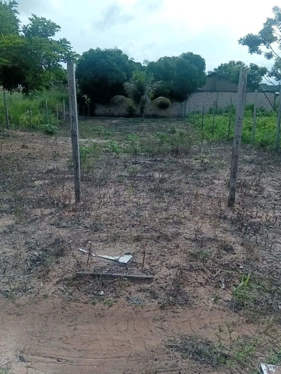 Foto - Santarém - Santarenzinho
