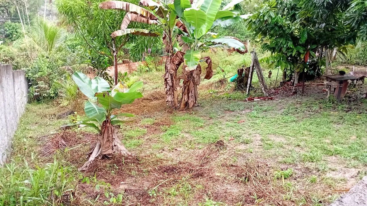 Casa no km 21, Ramal pau Rosa - Foto 5
