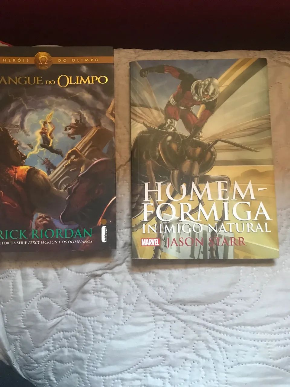 Livros homem formiga e sangue do olimpo