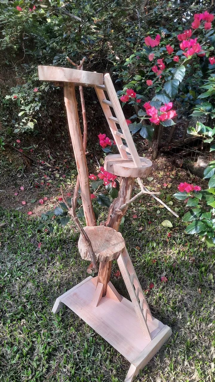 Poleiro - Foto 3