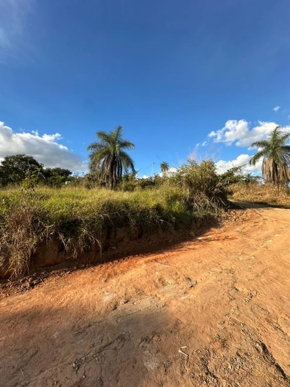 lote - Foto 4