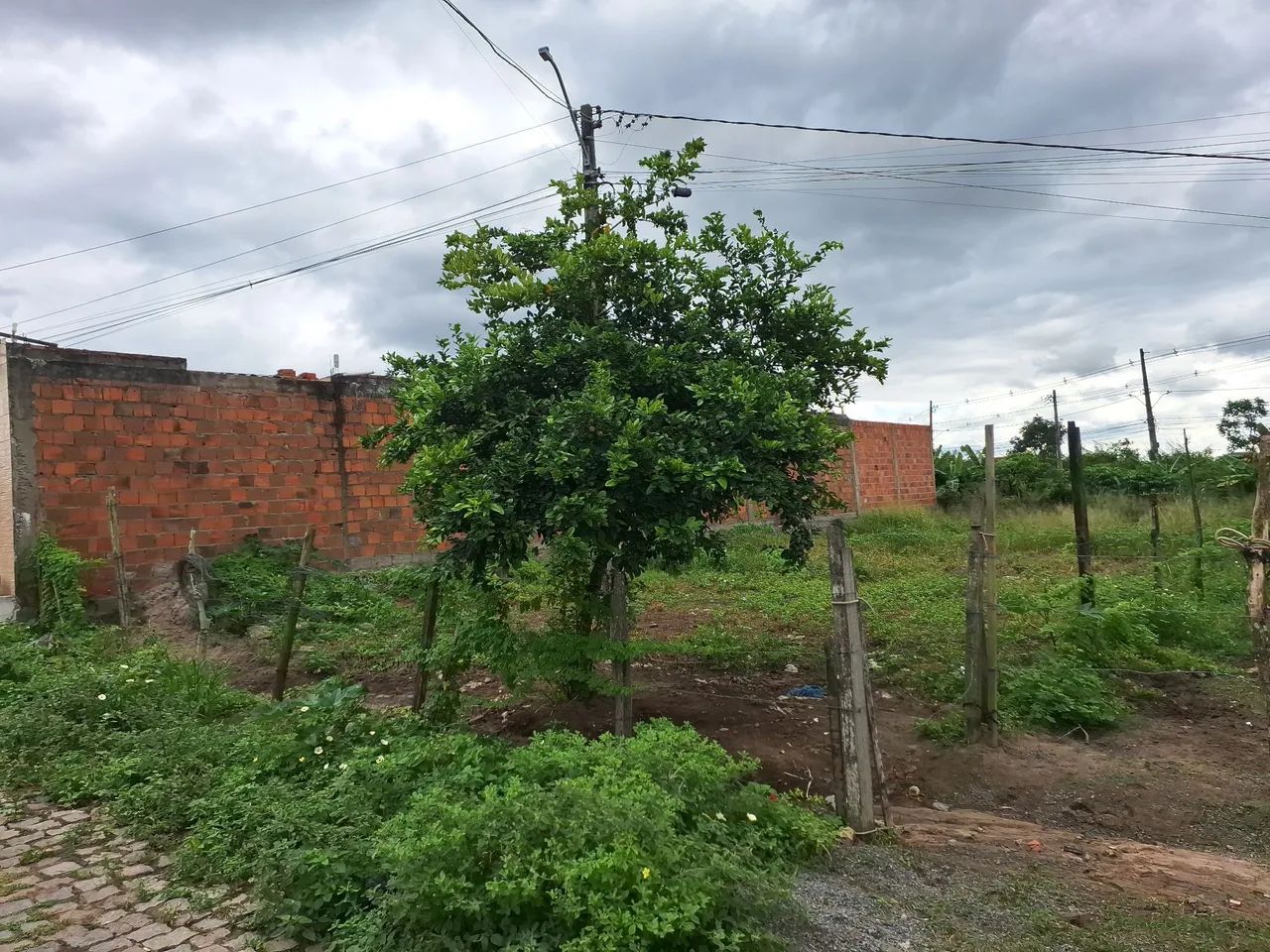 Vendo este terreno  - Foto 4