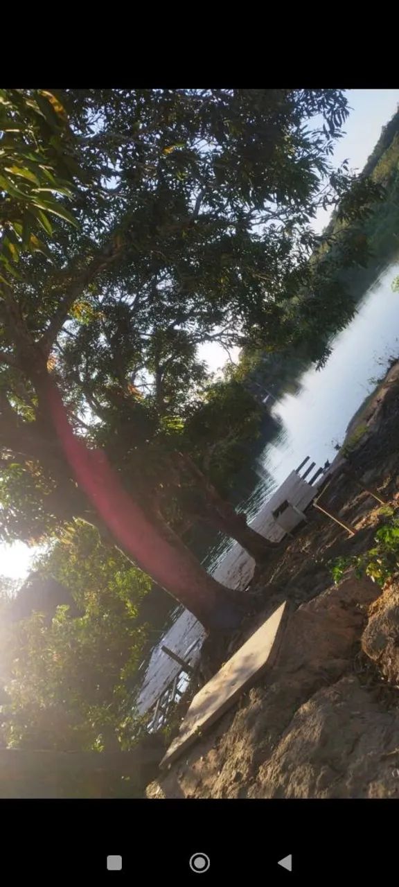 Sítio na curua-una  - Foto 4