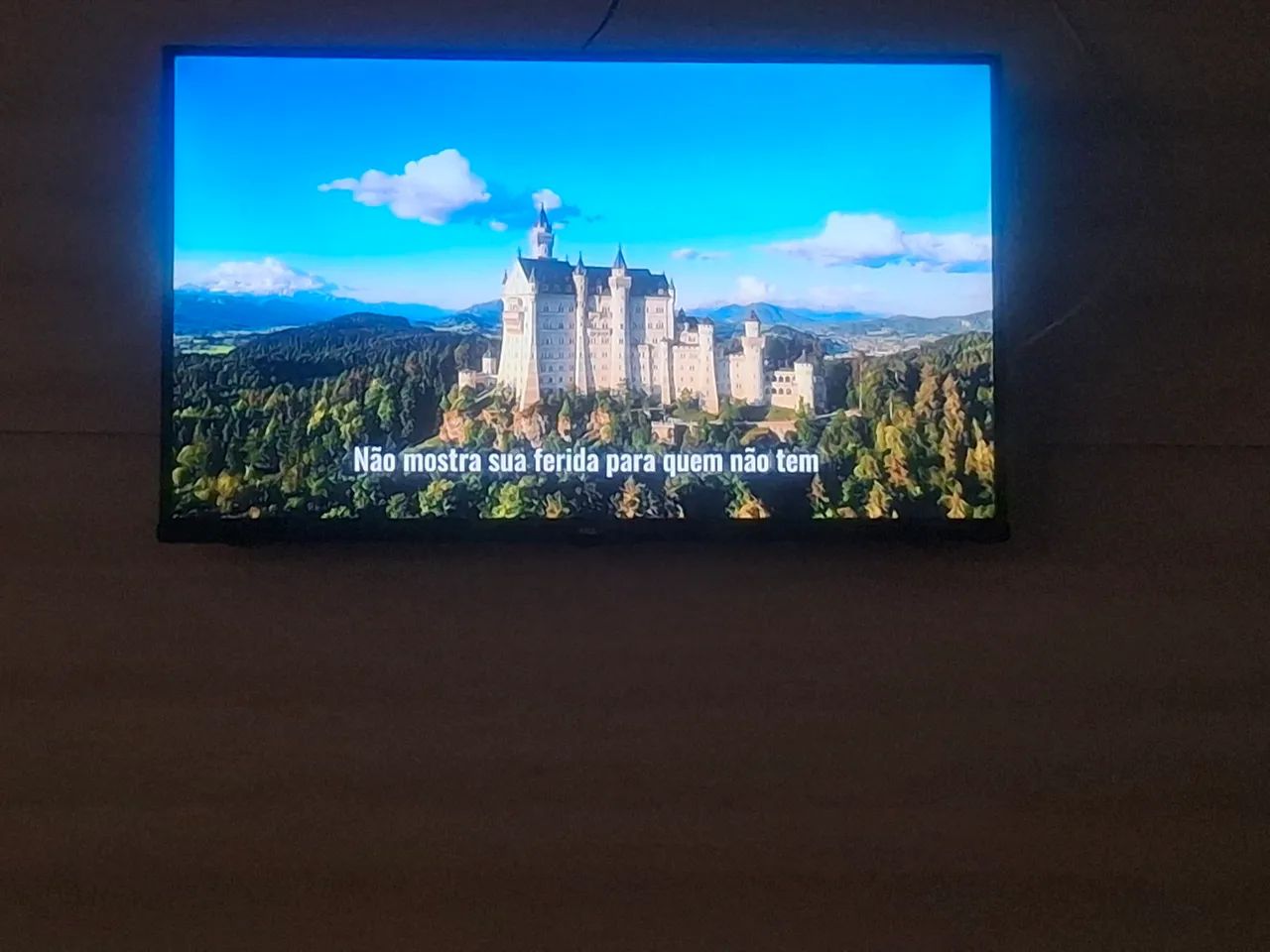 televisao