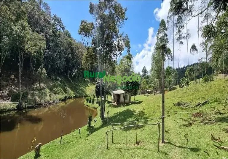 SÍTIO FORMADO COM LAGOS EM SALESÓPOLIS-SP - Foto 4
