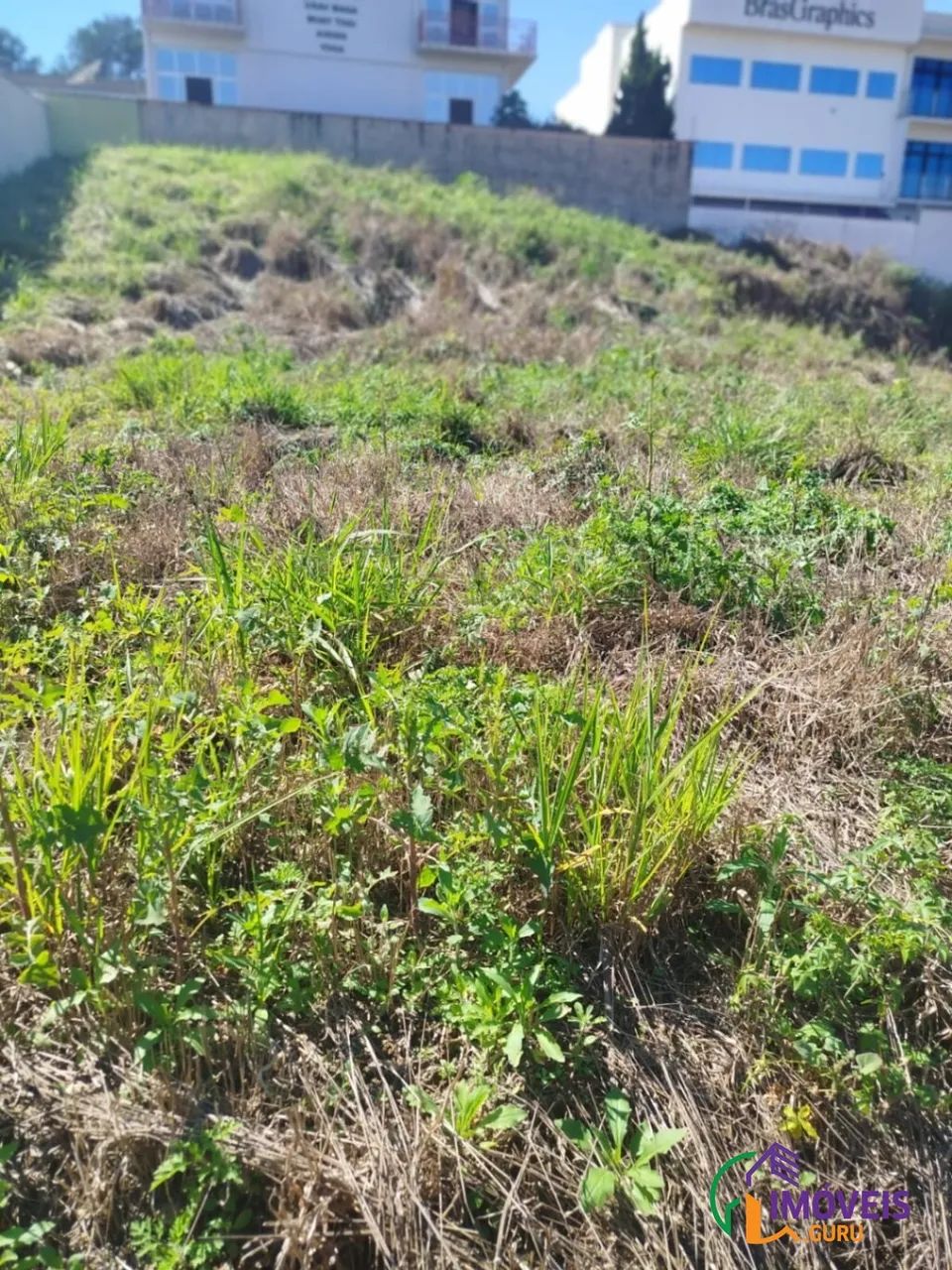 TERRENO - RESIDENCIAL SÃO LUIZ - SP - Foto 4