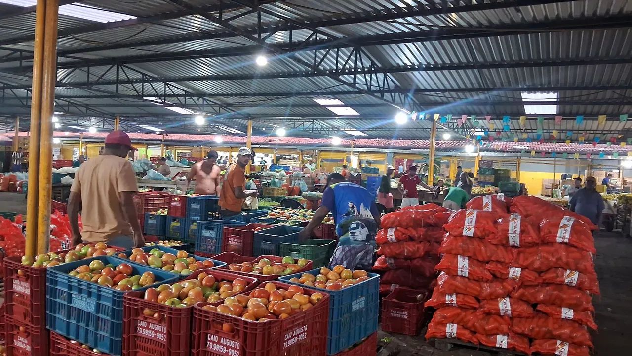ALUGA-SE BOX NO MERCADÃO DO PRODUTOR. - Foto 5