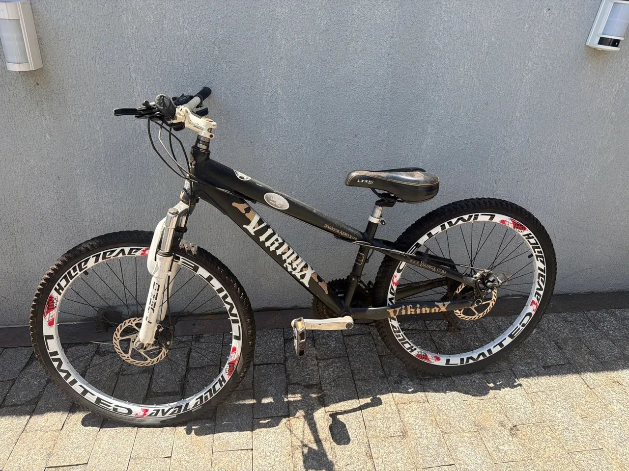 Bike Viking x 29