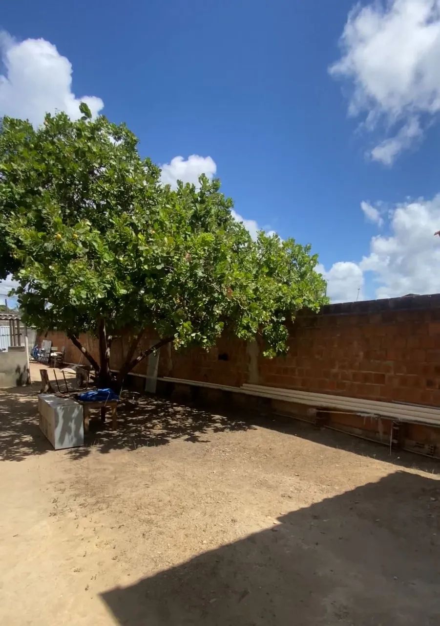 Foto - Maceió - Cidade Universitária