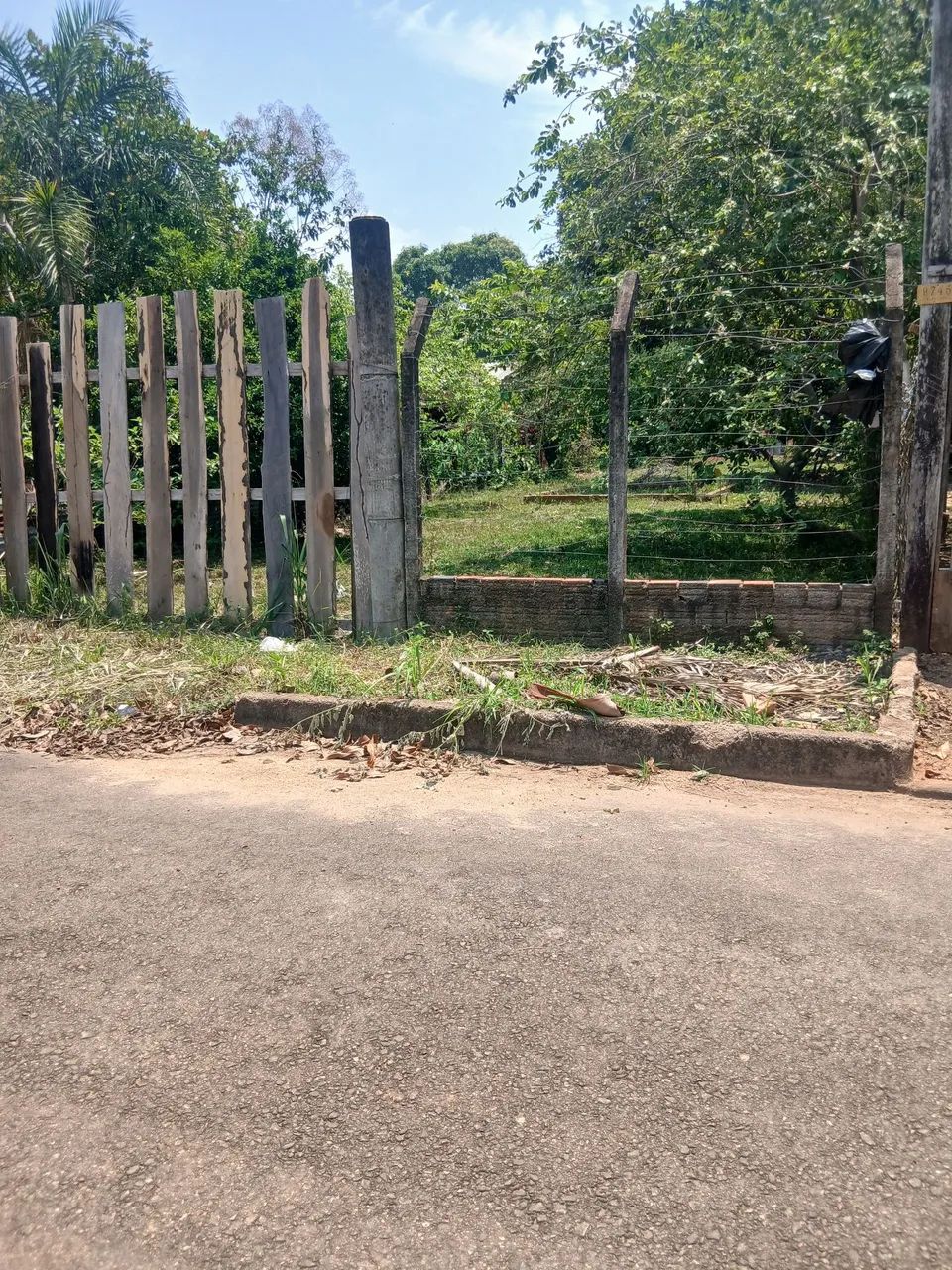 Vendo esse lindo terreno 