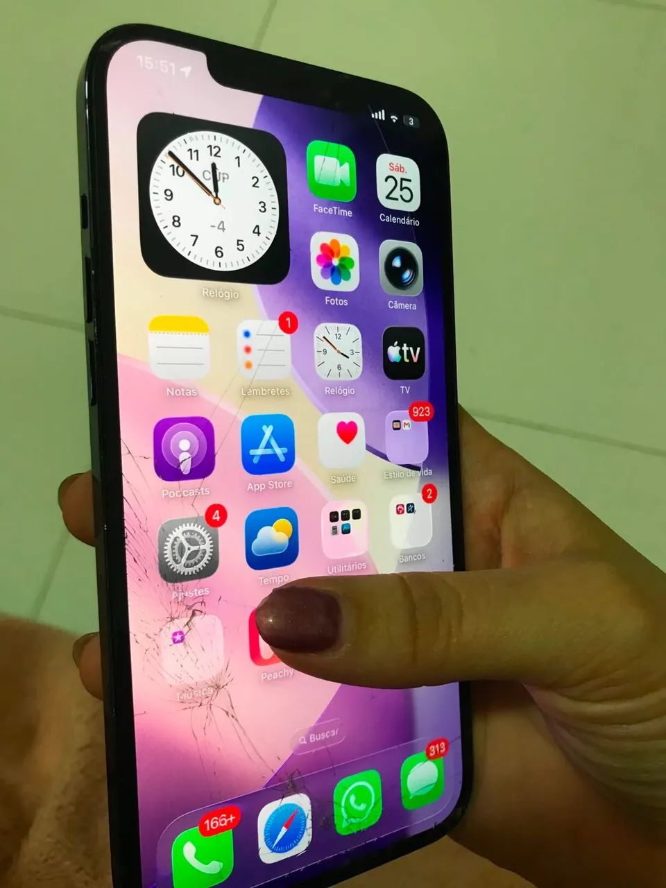iPhone 12 Pro Max 