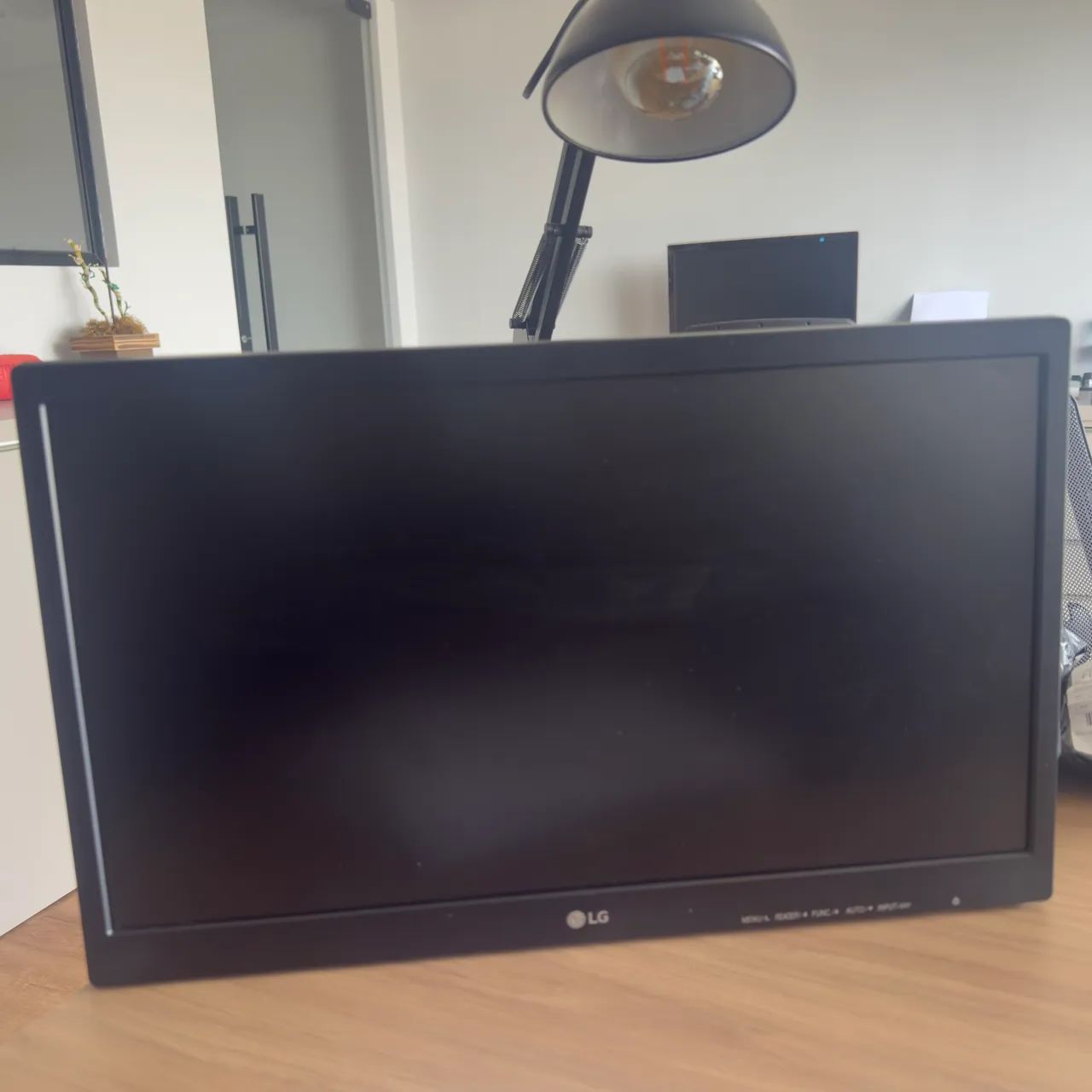 Monitor LG 20 polegadas Fino Flatron 