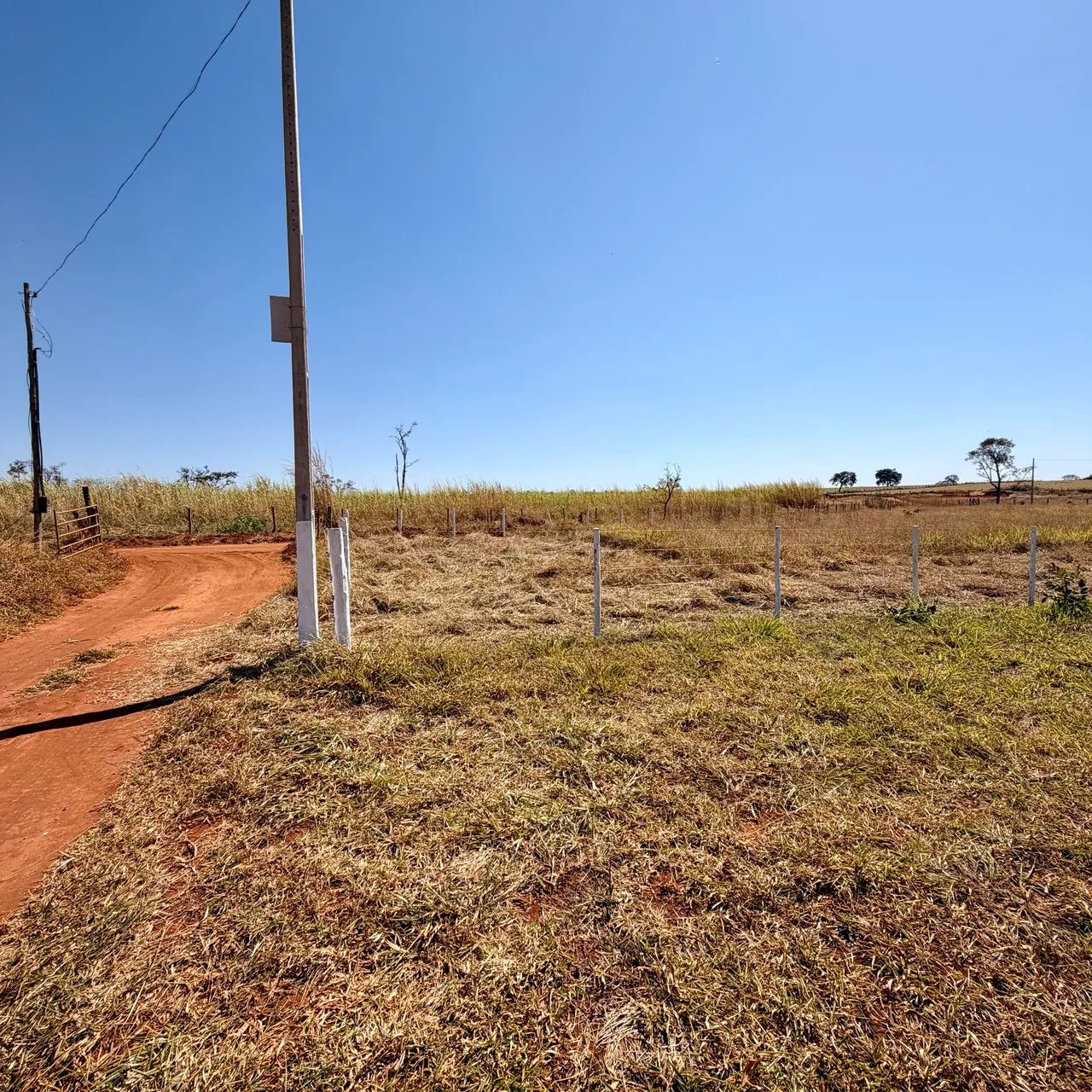 Chácara toda cercada. A 32 km de Goiânia-GO - Foto 4