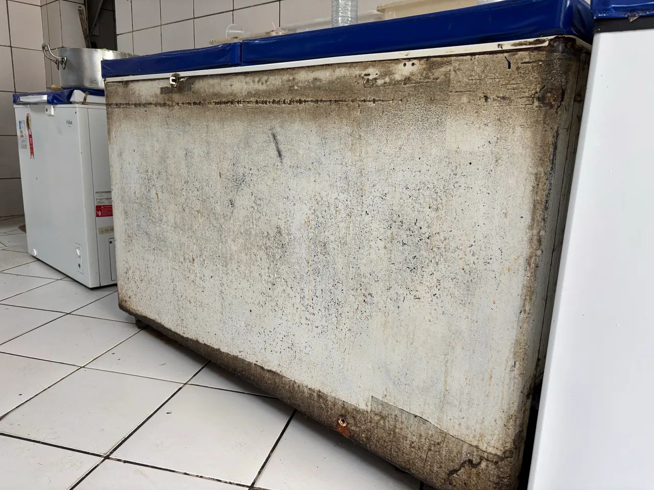 Freezer usada de duas portas