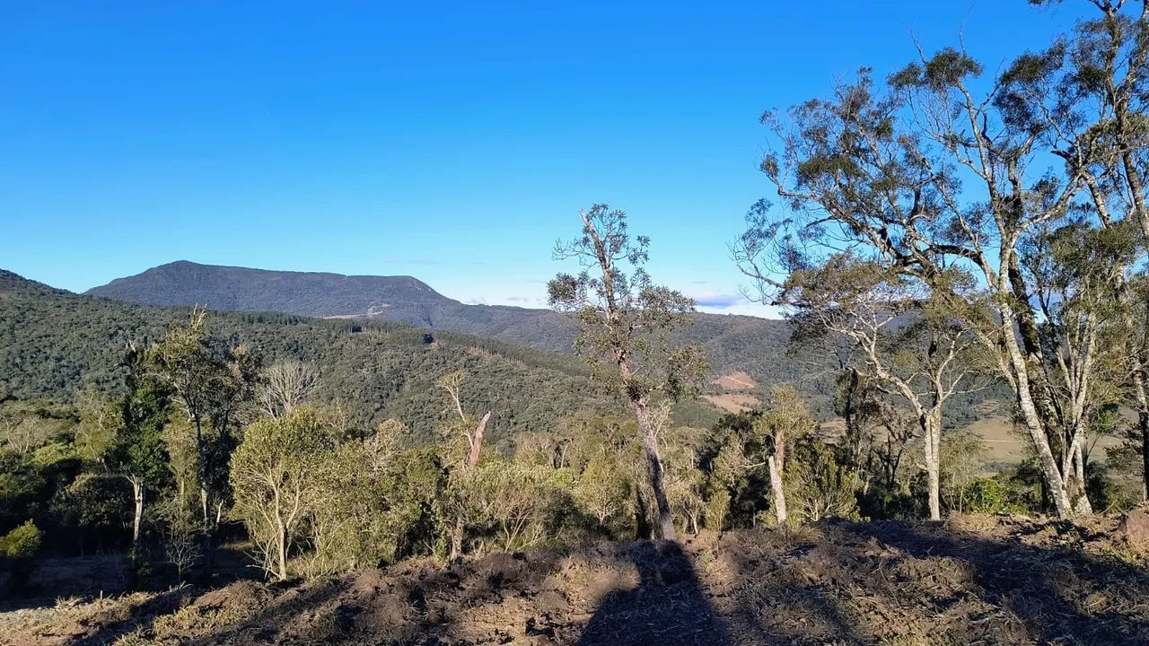 Vendo Área com 60.000 m2 / 6 Hectares - Foto 4