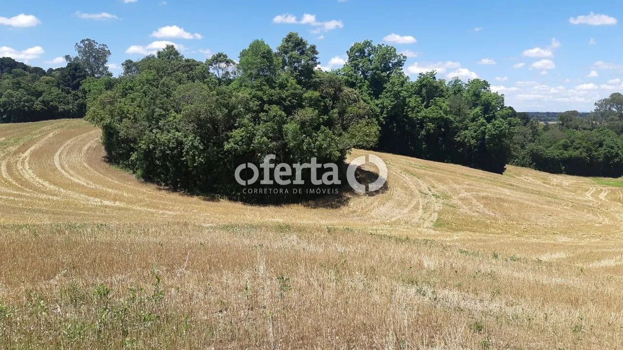 Chácara em Araucária / Campo do Thomaz - Foto 4
