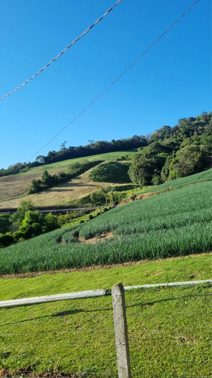 Incrível terreno 1 HA com escritura individualizada - Foto 4