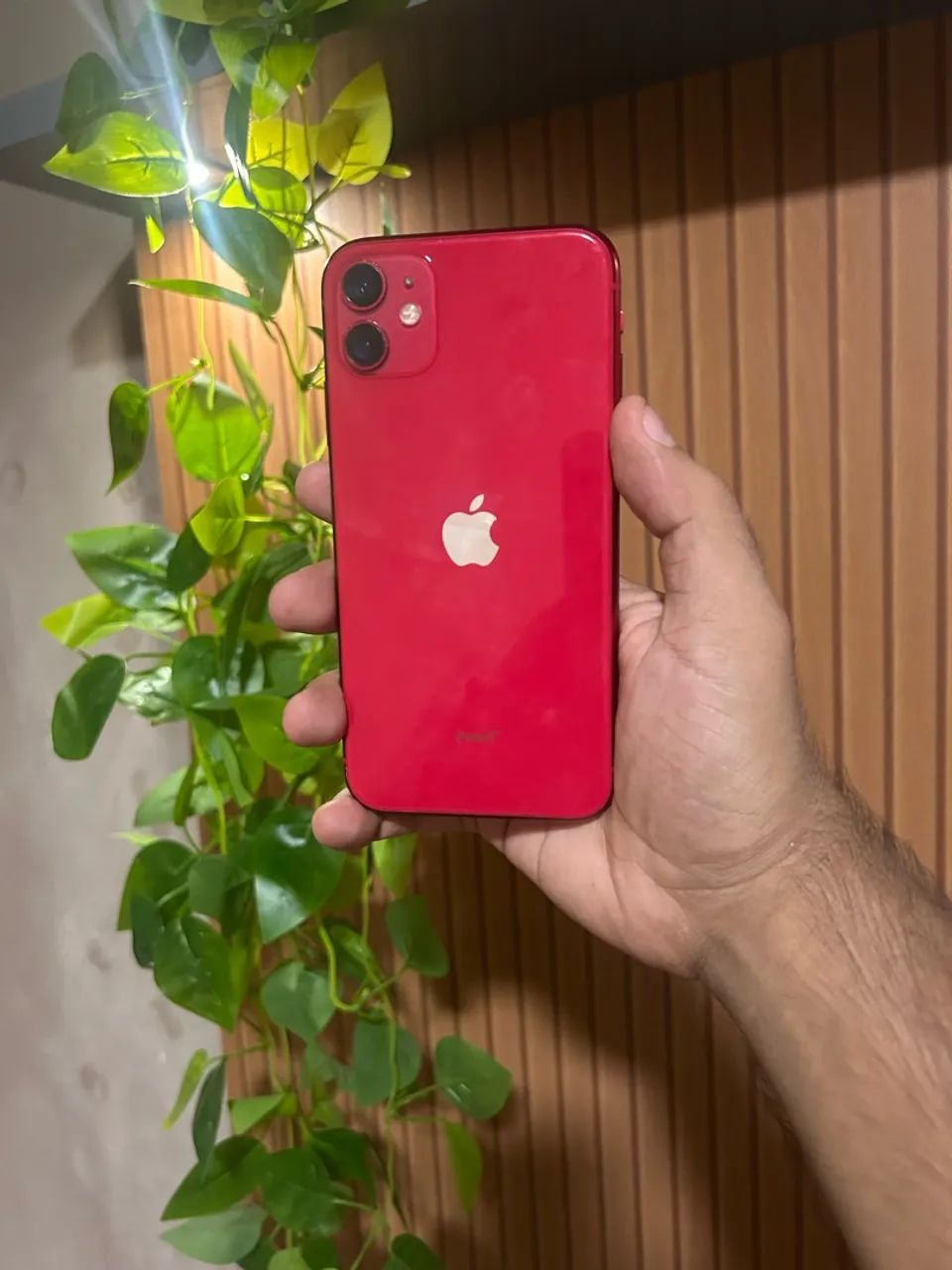 iPhone 11 64GB Ótimo estado 